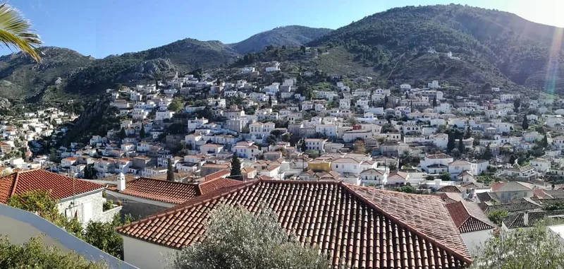 Hydra