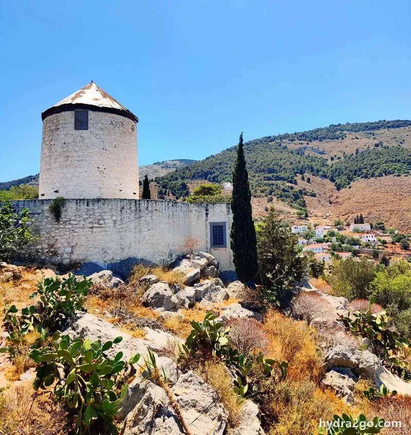 Hydra
