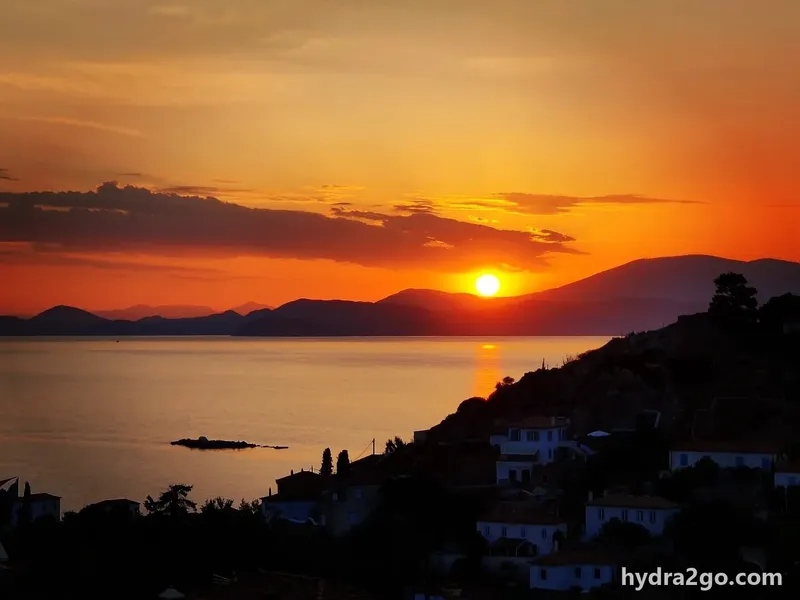 Hydra