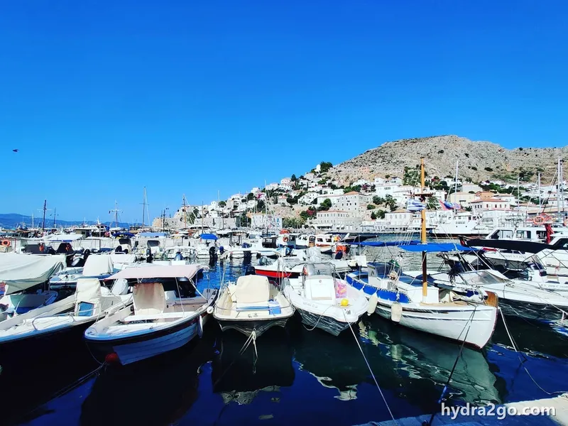 Hydra
