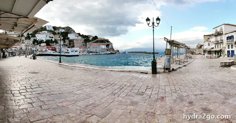 Hydra