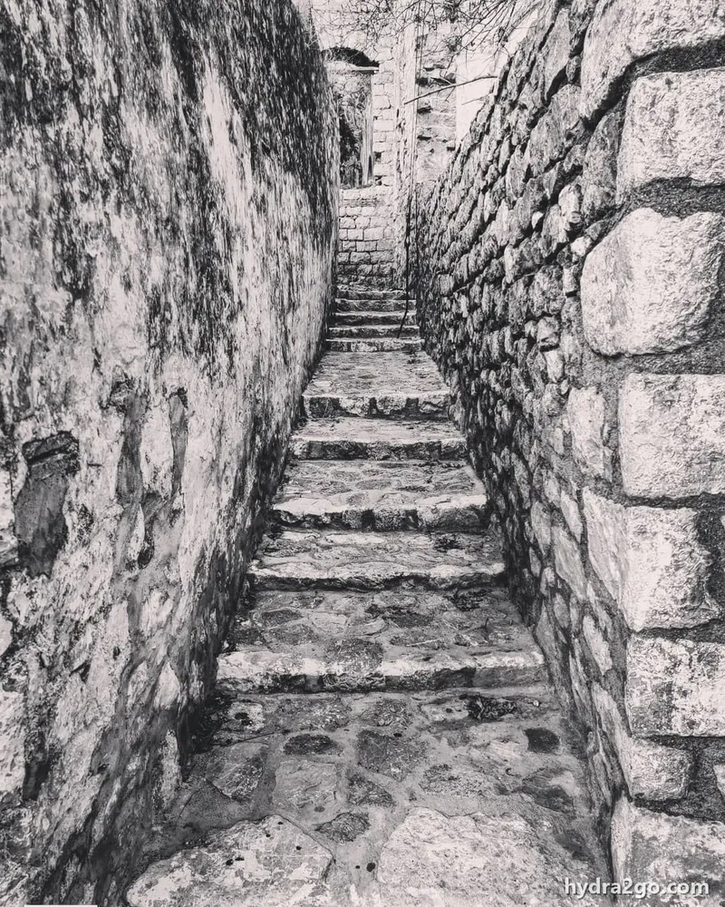 Hydra