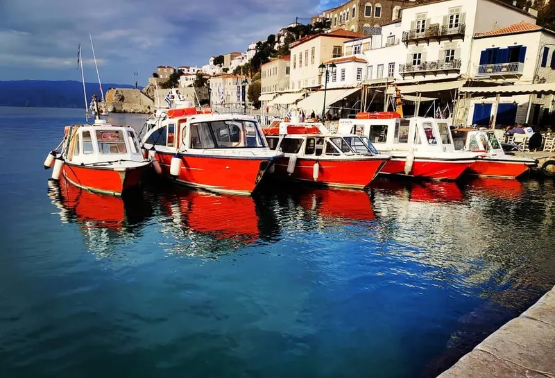 Hydra