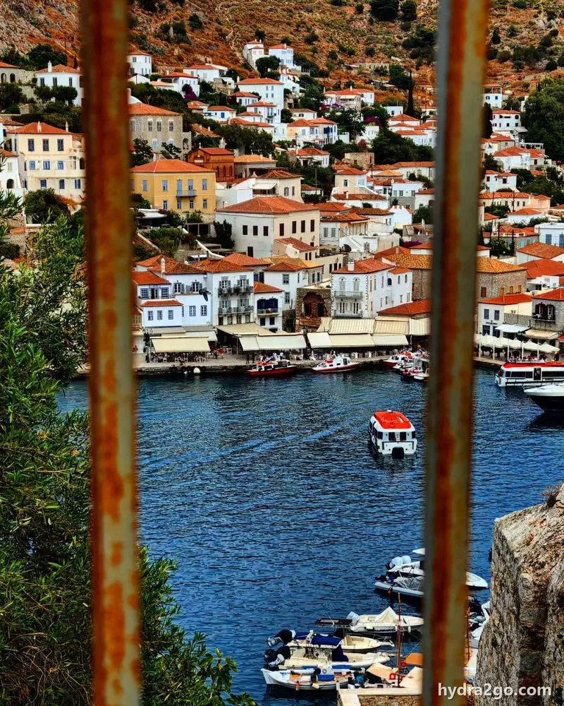 Hydra