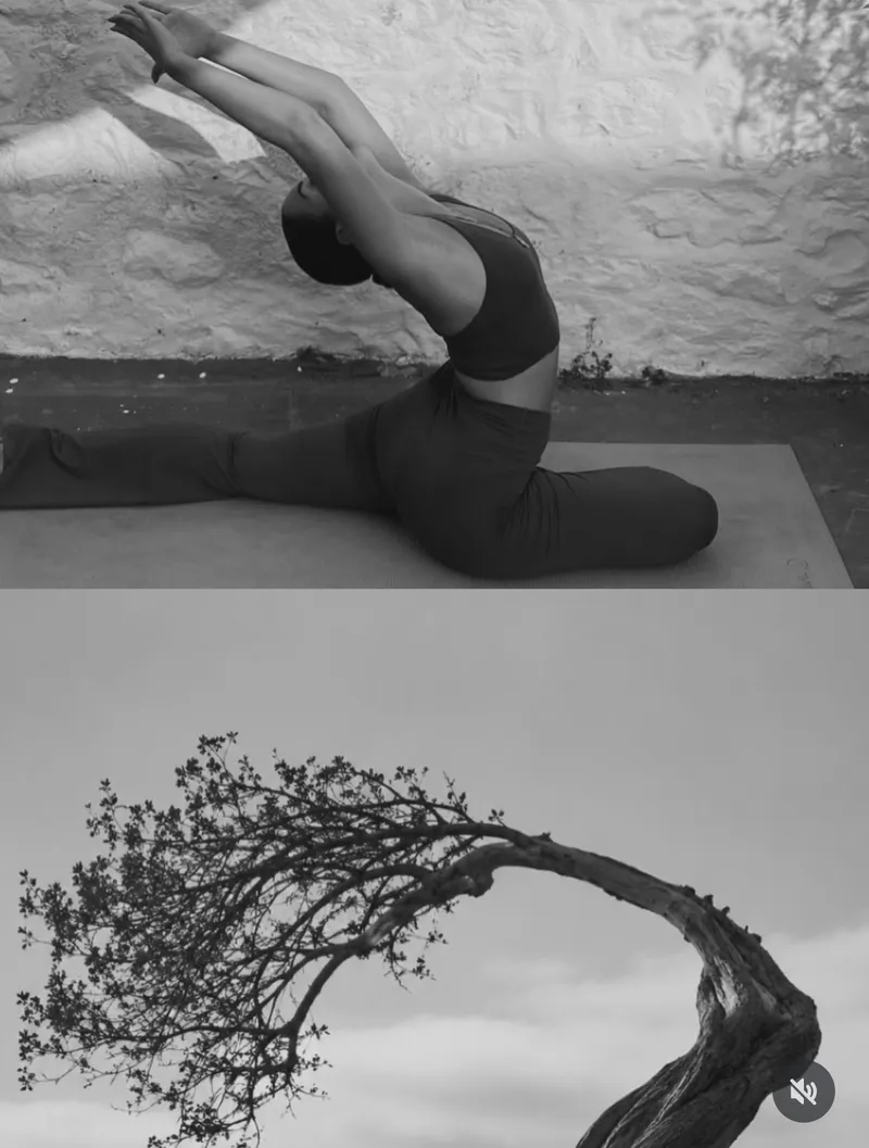 Shakti Yoga Hydra