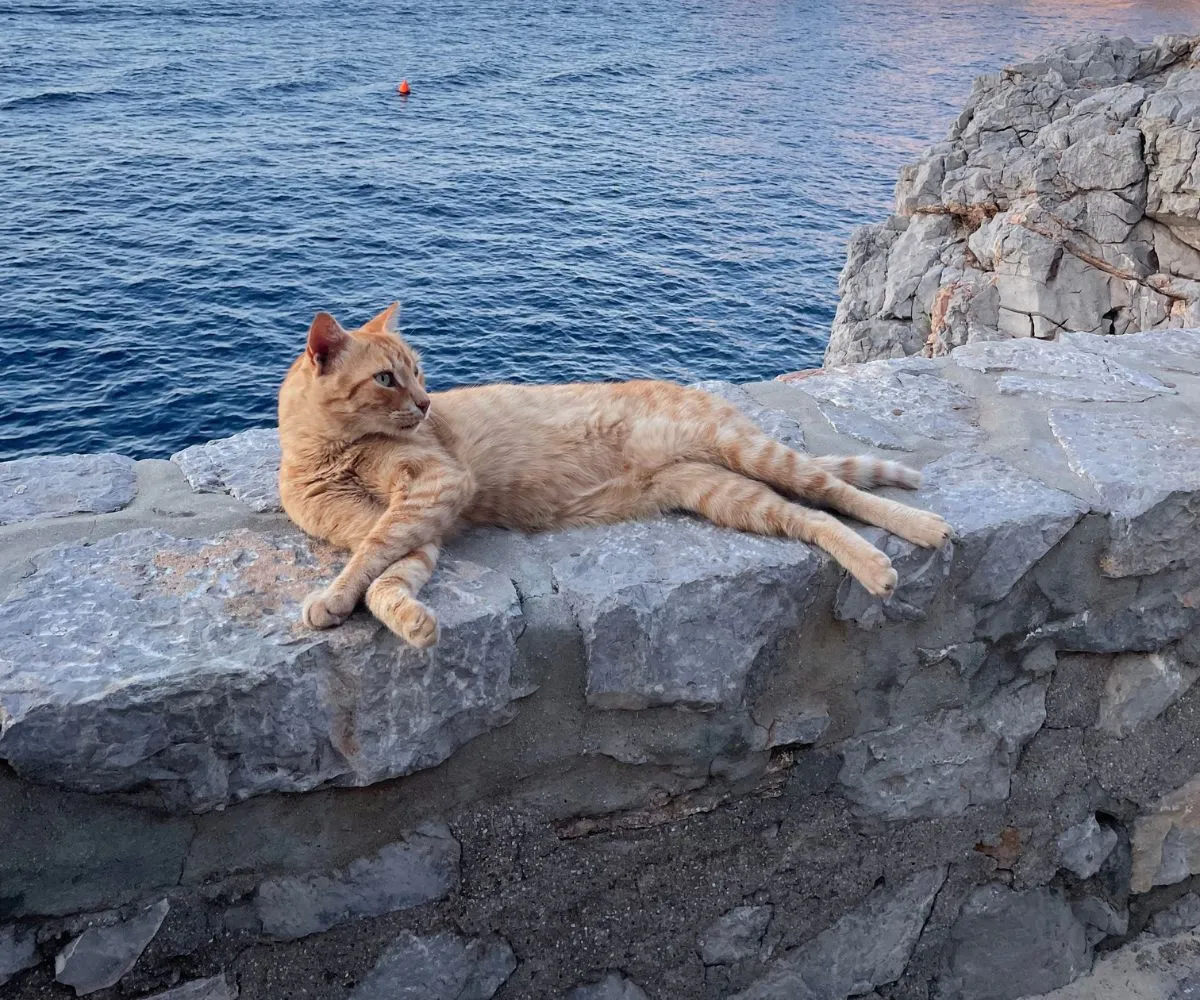 Slow Living on Hydra: A Guide to Embracing Simplicity