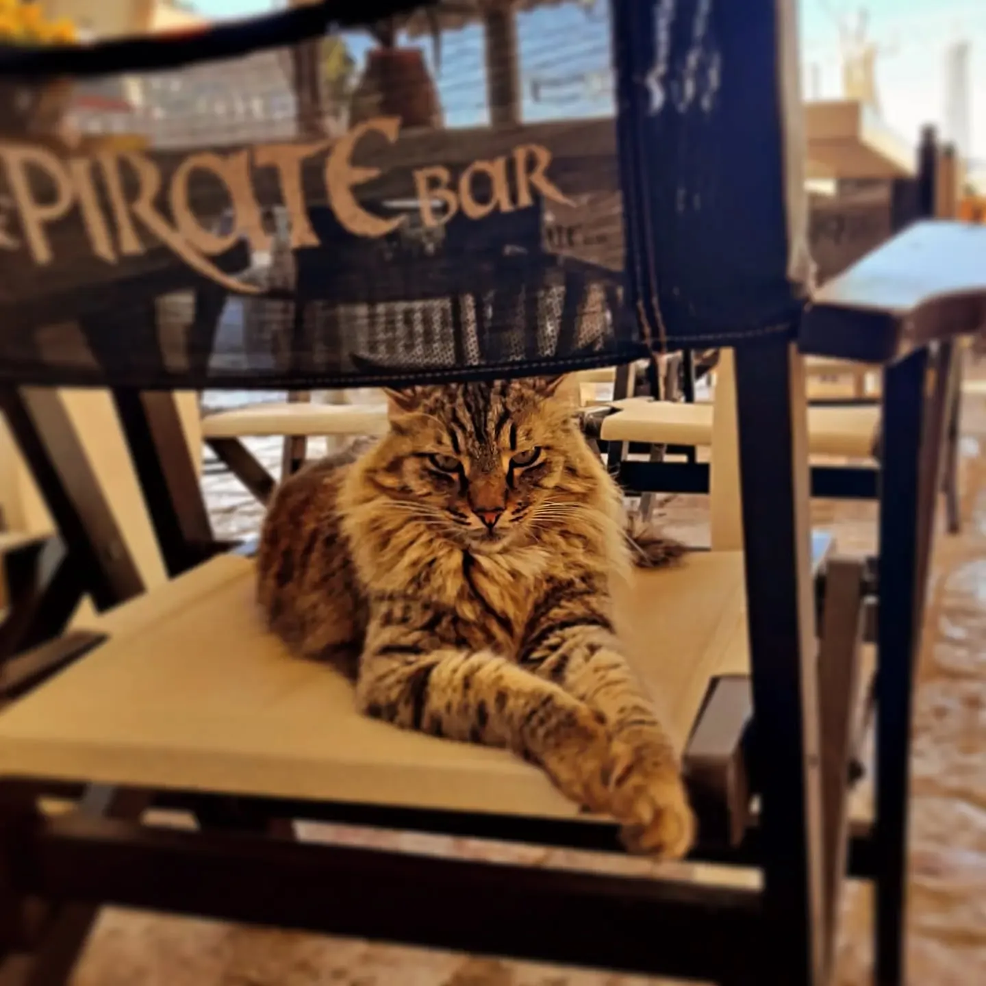 The Pirate Bar